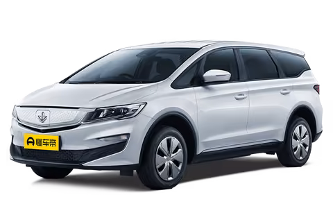 Livan 枫叶80v